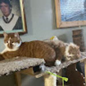 Meet your Posher, Jacob